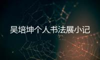 吴培坤个人书法展小记